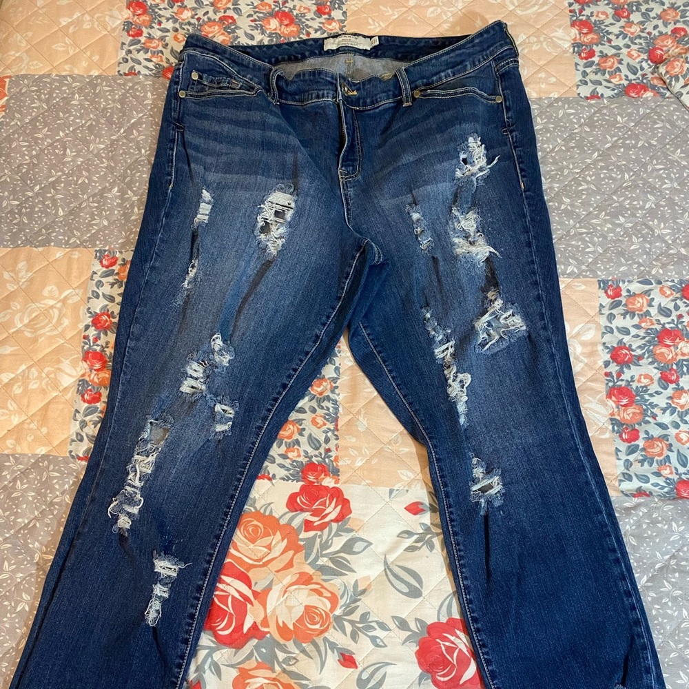 Torrid Jeans